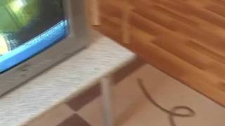 Une petite jeunette qui aime le sexe Une petite jeunette qui aime le sexe