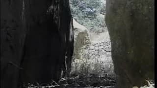 Vérifiez votre âge