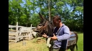 Laura Orsolya aime baiser en extérieur Laura Orsolya aime baiser en extérieur