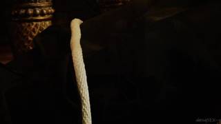 Aletta Ocean s'offre une bonne baise avec un homme bien équipé Aletta Ocean s'offre une bonne baise avec un homme bien équipé