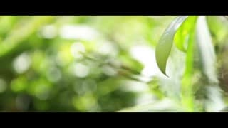 Vérifiez votre âge