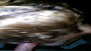 Quand une amatrice torride réalise un gloryhole Quand une amatrice torride réalise un gloryhole