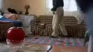 Une petite baise à la maison Une petite baise à la maison