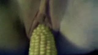 Voici une cochonne devant sa webcam ! Voici une cochonne devant sa webcam !