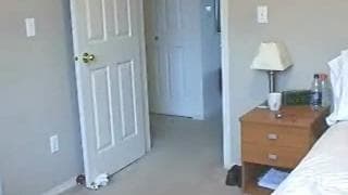 Devant la webcam elle aime se toucher ! Devant la webcam elle aime se toucher !