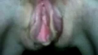 Le gros plan d'un chatte baveuse