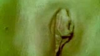 Un gros plan sur sa chatte ...