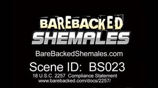 Un trio qui s'amuse avec trans