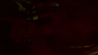 Il se fait sucer par une jolie black