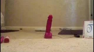 Quelques dildos qu'elle va bien tester Quelques dildos qu'elle va bien tester