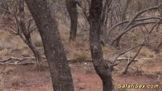 Vérifiez votre âge