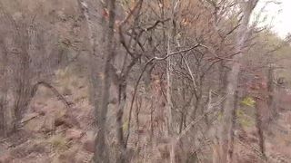 Vérifiez votre âge