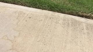 Vérifiez votre âge