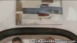 Vérifiez votre âge