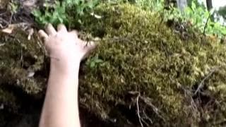 Vérifiez votre âge