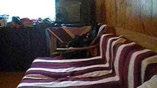 Vérifiez votre âge