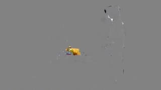 Vérifiez votre âge