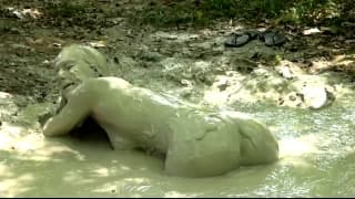 Elle va se caresser dans un bain de boue Elle va se caresser dans un bain de boue