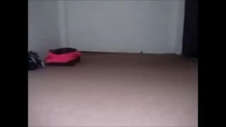 Vérifiez votre âge