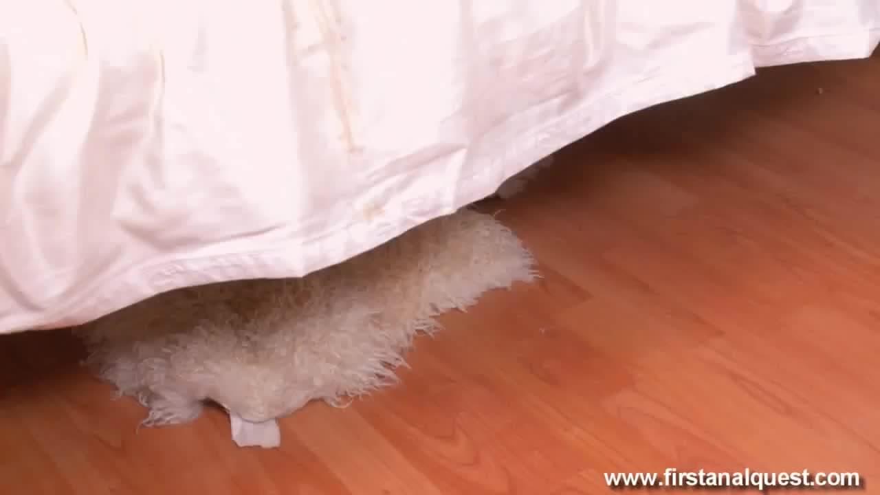 Vérifiez votre âge