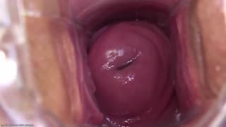 Une chatte en suspension sa se baise bien