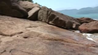 Vérifiez votre âge