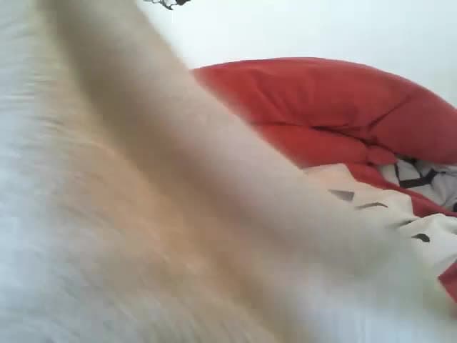 Vérifiez votre âge