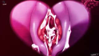 Ce dessin animé nous montre tous les détails