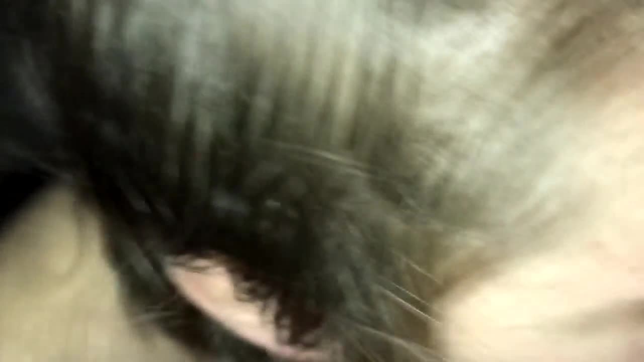 Vérifiez votre âge