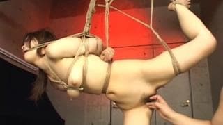 Medley de BDSM de plaisirs sexuels asiatique Medley de BDSM de plaisirs sexuels asiatique