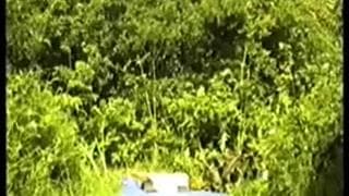 Une baise d'amateurs qui a lieu en extérieur