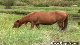 Envie de prendre dans le cul sans capote