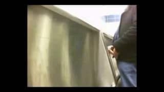 Ces hommes se touchent bien aux toilettes Amateurs, Brun, Branlette