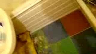 Vérifiez votre âge