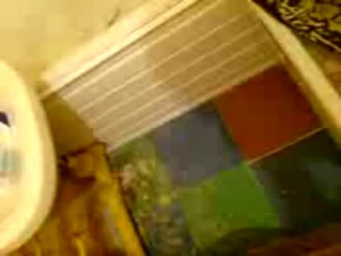 Vérifiez votre âge