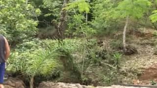 Vérifiez votre âge