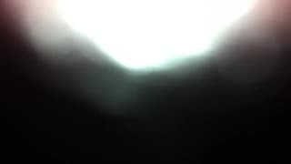 Levrette mémorable pour une jolie amatrice