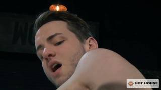 Gros dards et étalons chauds à voir en stream