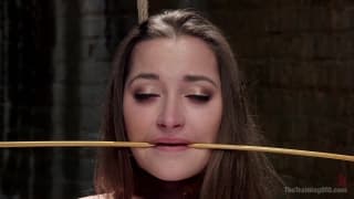 Dani Daniels se fait percuter la chatte ! Dani Daniels se fait percuter la chatte !