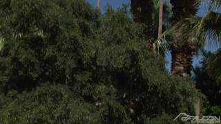 Vérifiez votre âge