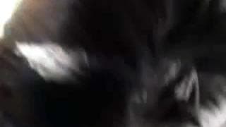 Vérifiez votre âge