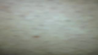 Vérifiez votre âge
