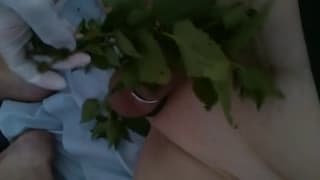 Toucher son sex avec l'aide de plantes Toucher son sex avec l'aide de plantes