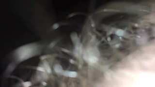 Vérifiez votre âge