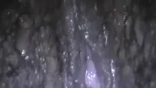 Chaudasse bien gourmande pour une poutre