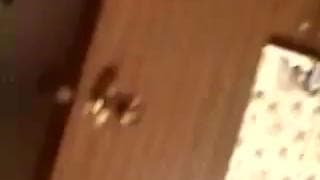 Vérifiez votre âge