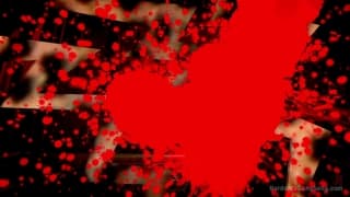 Vérifiez votre âge