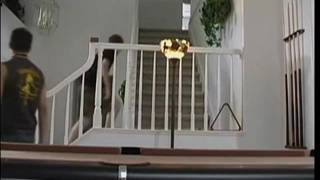 Sabastian compte jouer avec sa queue !