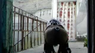 C'est juste un travelo et son gros dildo Amateurs, Webcam Gay, Anal, Fetichiste, Sextoys, Mature