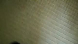 Vérifiez votre âge